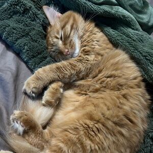 Meet your Posher, Terryandchantley